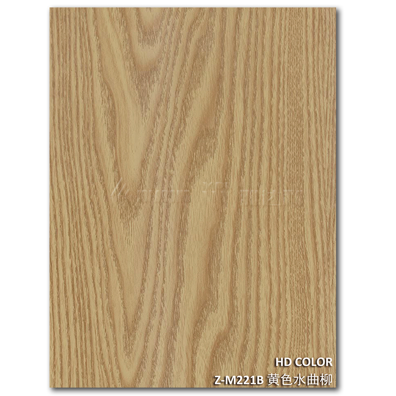 Z-M221B-黃色水曲柳