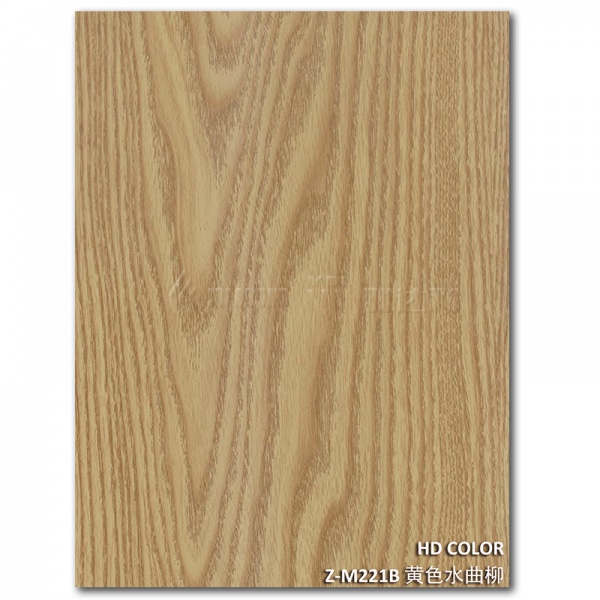 Z-M221B-黃色水曲柳