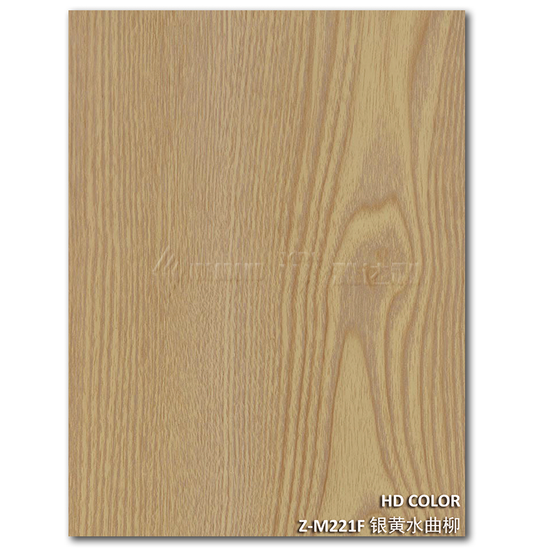 Z-M221F-銀黃水曲柳