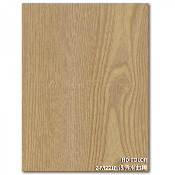 Z-M221F-銀黃水曲（qǔ）柳