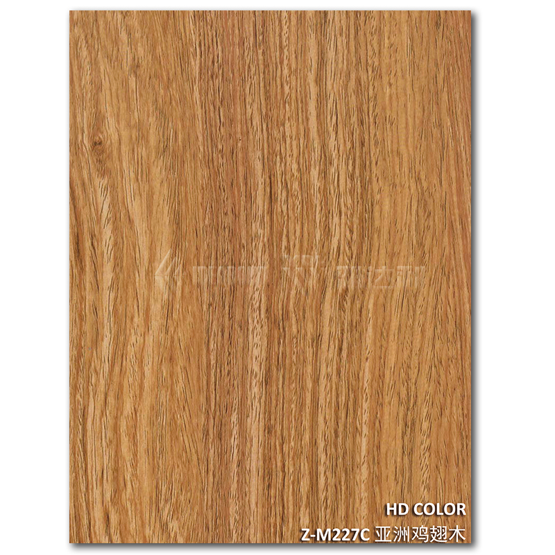 Z-M227C-亞洲雞翅木