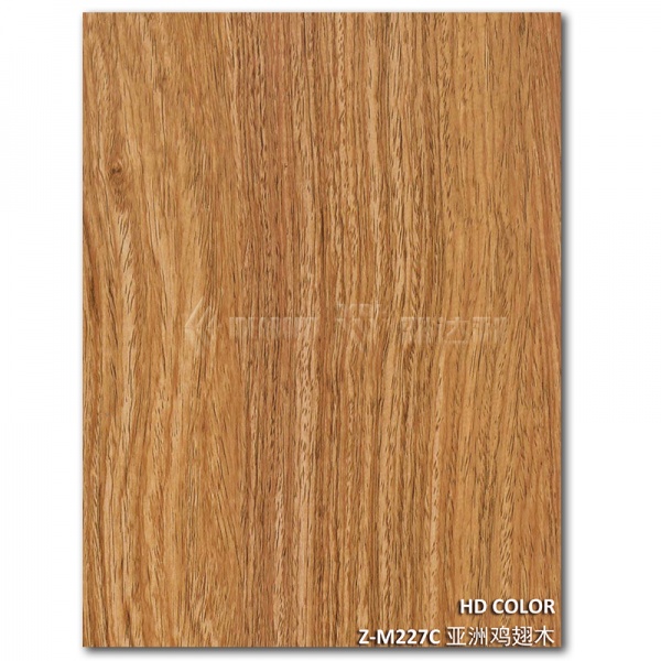 Z-M227C-亞洲雞翅（chì）木（mù）