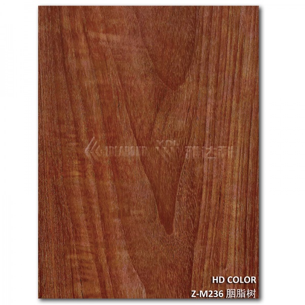 Z-M236-胭脂樹