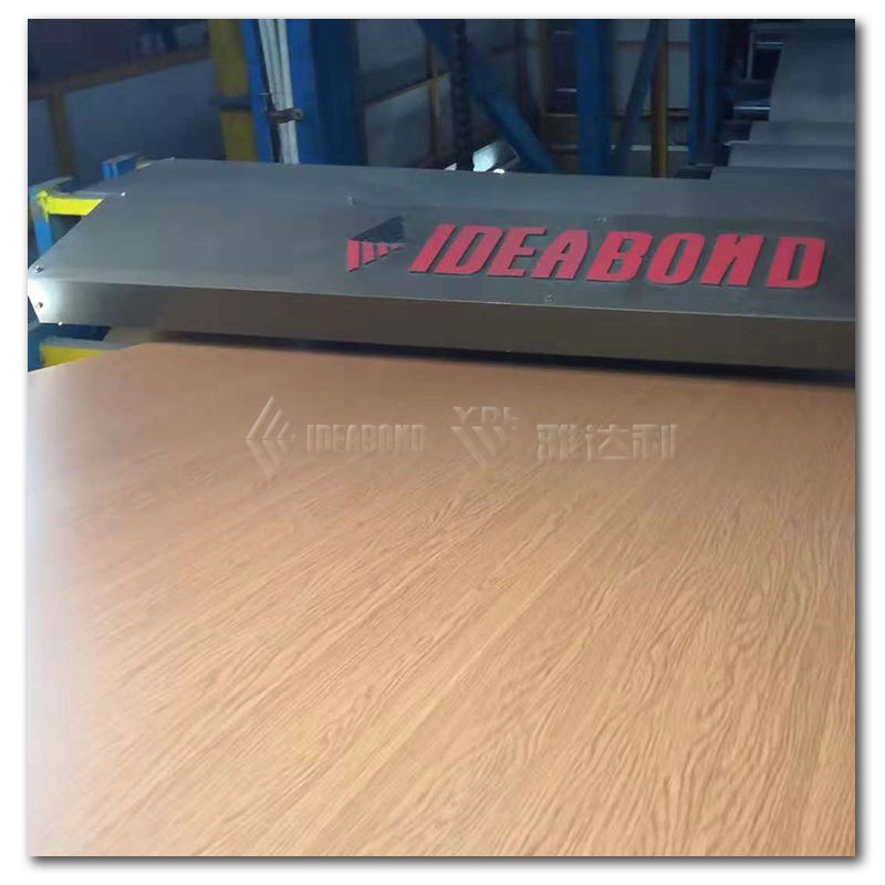 AE-305 紅纓（yīng）木