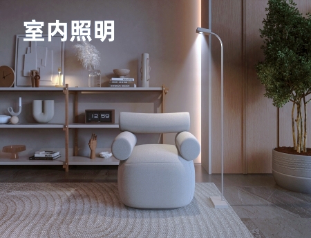 图片展示
