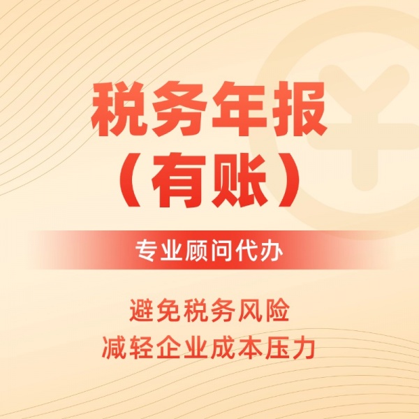 税务年报/有账