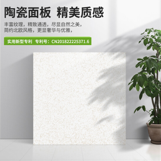 SFDB深圳沈飞地板，全陶瓷架空防静电地板，承载高，防火耐腐蚀 全陶瓷架空防静电地板 一平米 