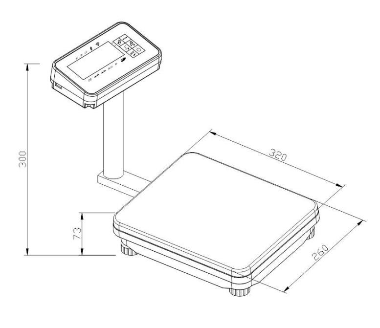 ACS-STV2台秤系列