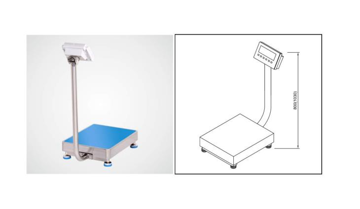ACS-ECR-电子平台秤系列