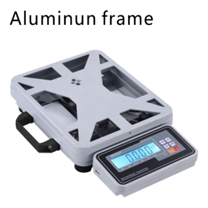 ACS-STV1手提秤系列