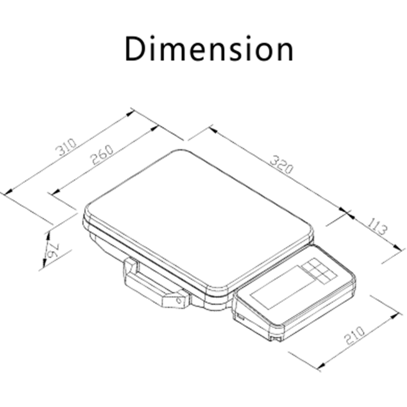 ACS-STV1手提秤系列