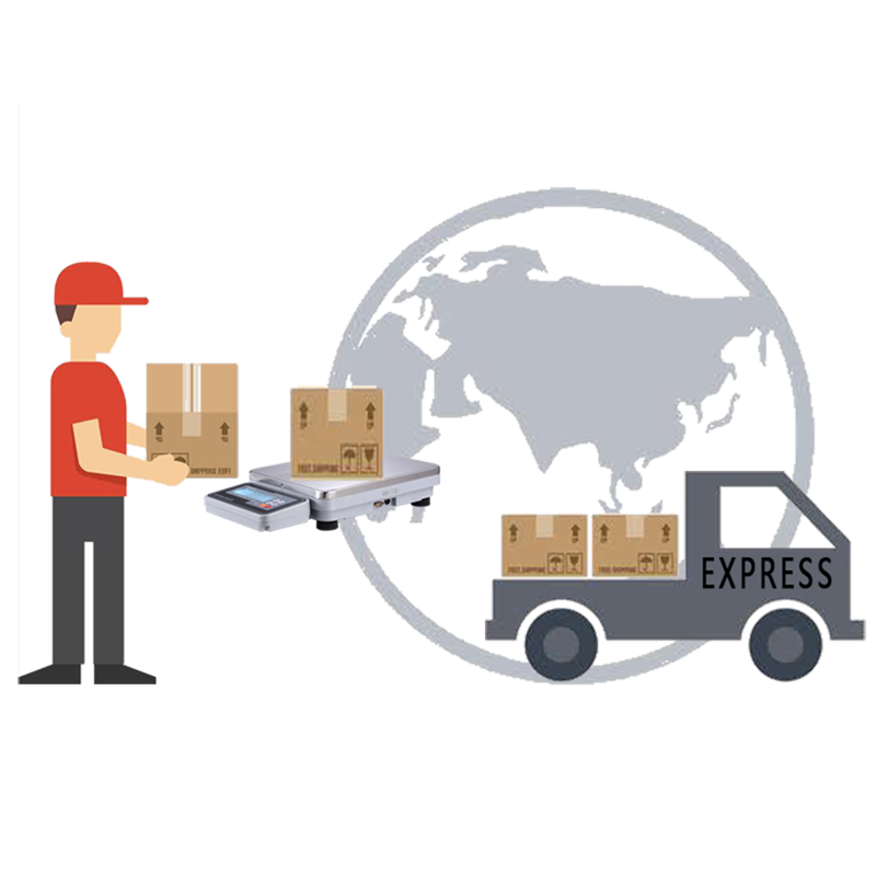 ACS-STV1手提秤系列