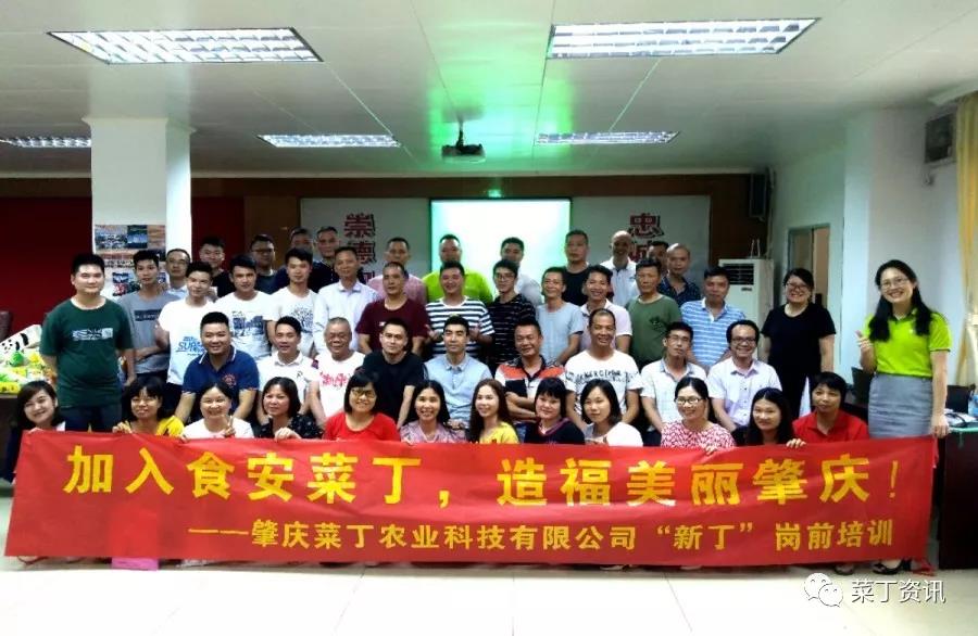 奔跑吧！肇庆菜丁