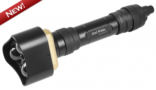 Flashlights