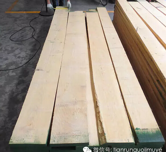 北美白橡木专刊