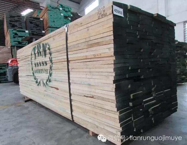 北美软枫木专刊