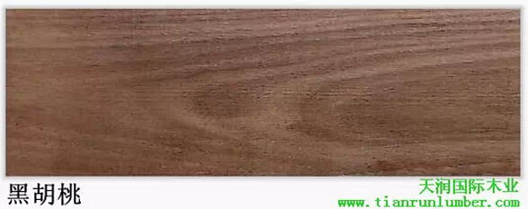 北美黑胡桃木专刊