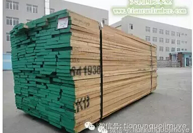 北美红榆木专刊