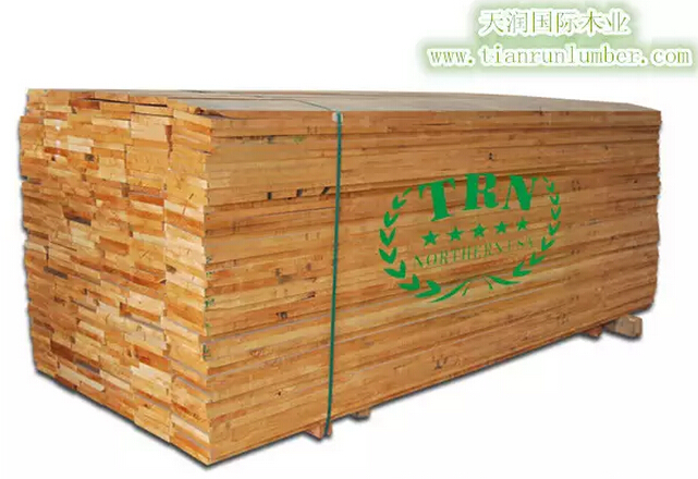 北美赤杨木专刊