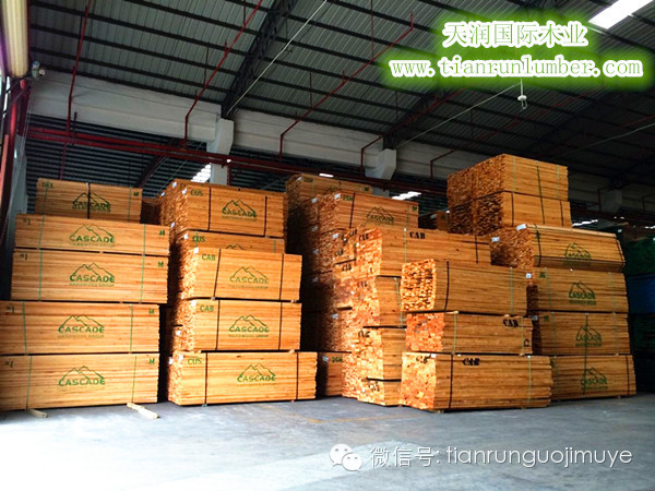 北美木材为什么在全世界这么火