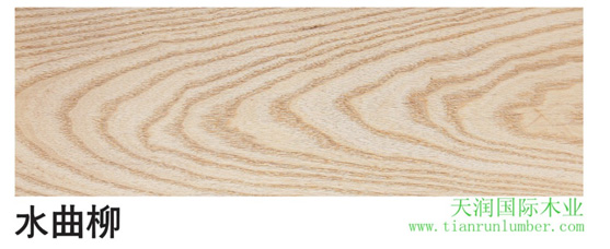 美狮贵宾会 - 首页