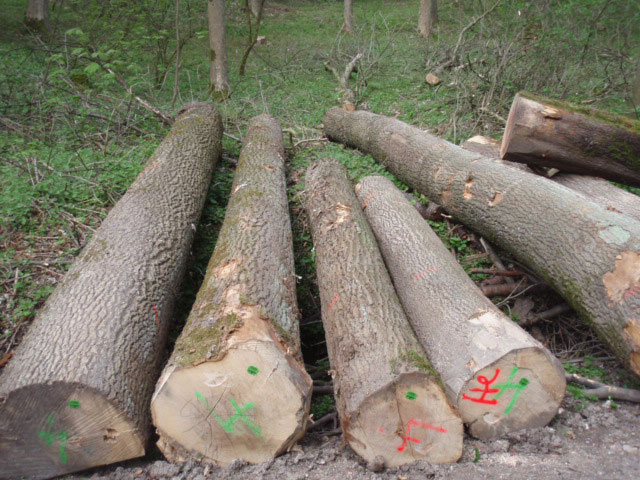 美狮贵宾会 - 首页