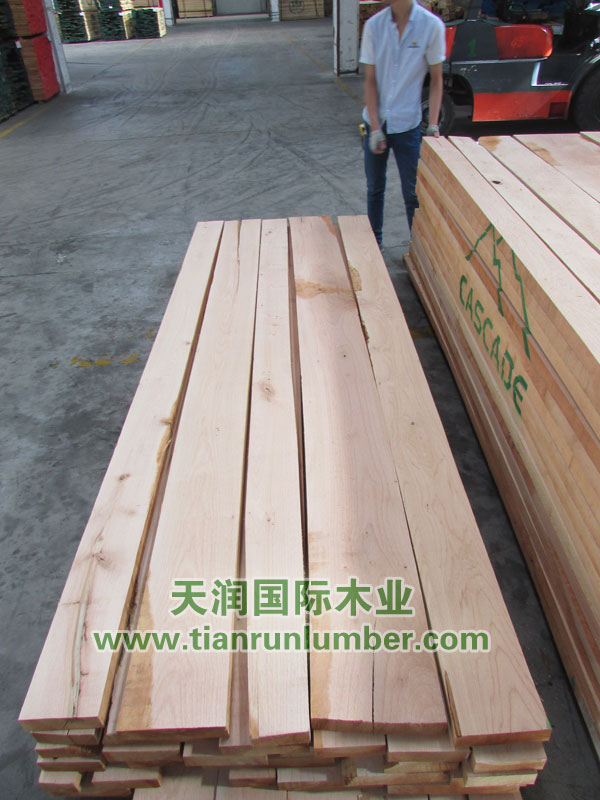 美狮贵宾会 - 首页