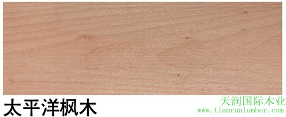 美狮贵宾会 - 首页