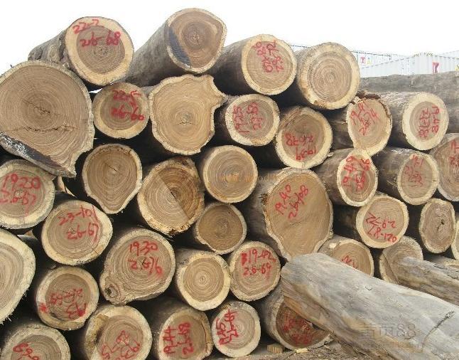 美狮贵宾会 - 首页