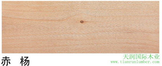 美狮贵宾会 - 首页