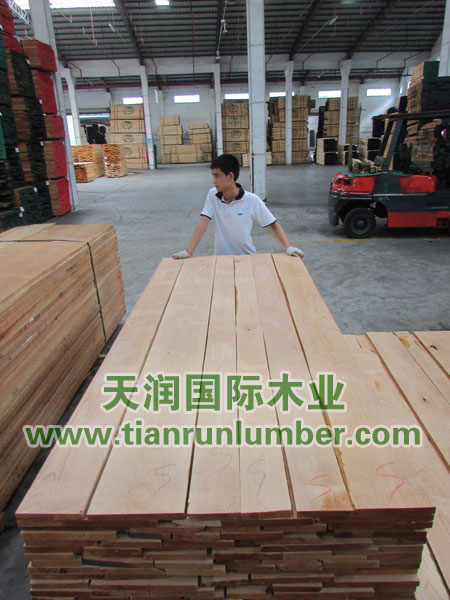 美狮贵宾会 - 首页