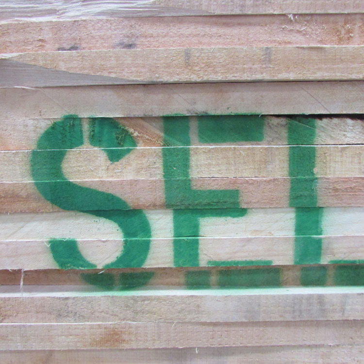 美狮贵宾会 - 首页