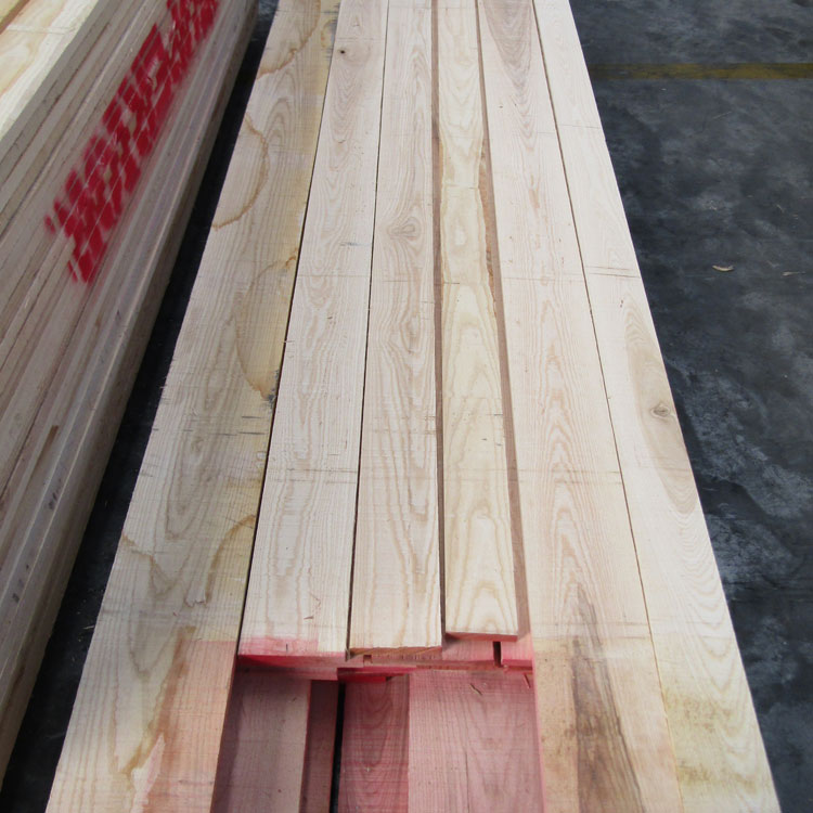 美狮贵宾会 - 首页