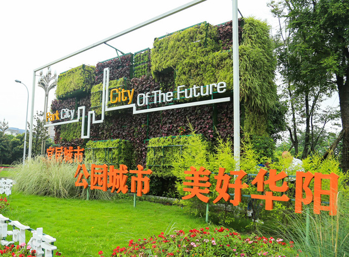 图片展示