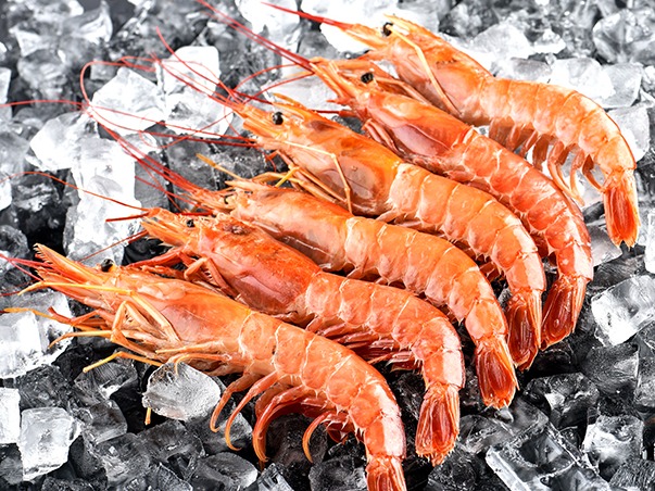 北極甜蝦的蝦頭籽和腹籽有什麽區別