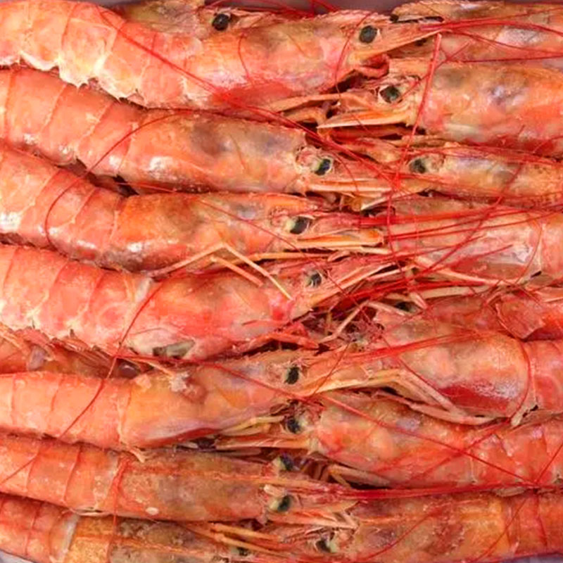 阿根廷紅蝦