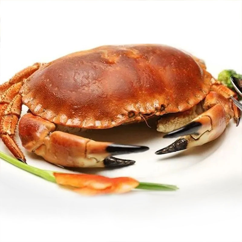 面包蟹