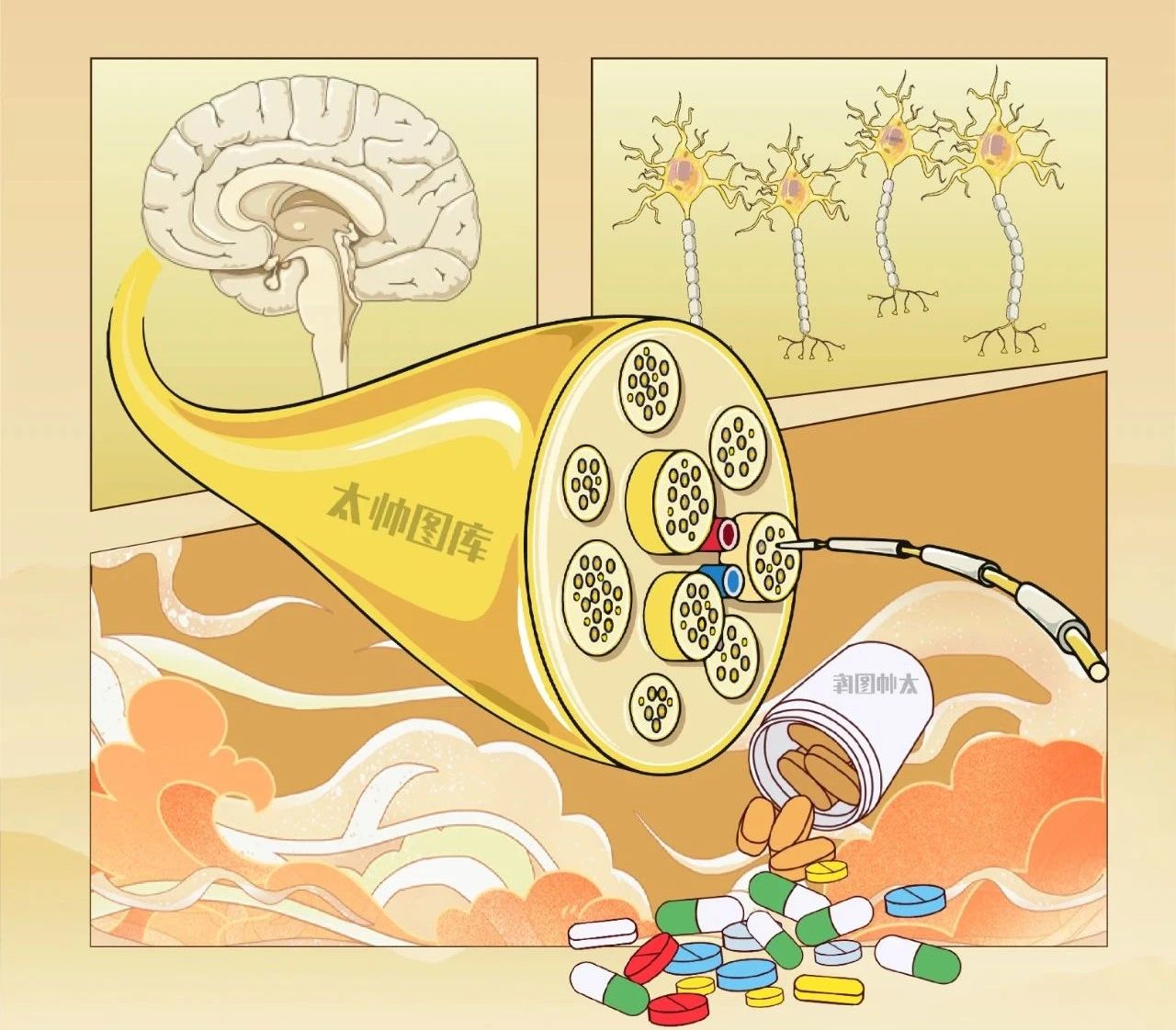 【阿尔茨海默病日】走进社区，ky为长者健康护航