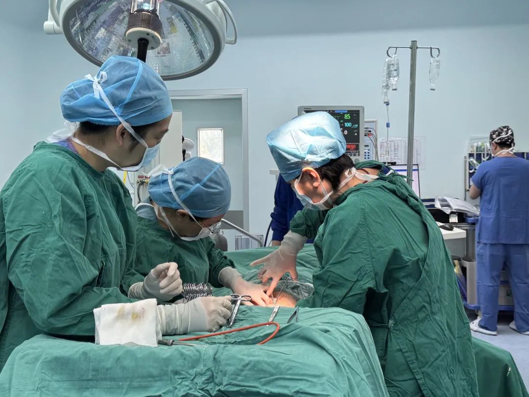 喜逢蛇年，共赴新生之约 | 产科的温暖守护