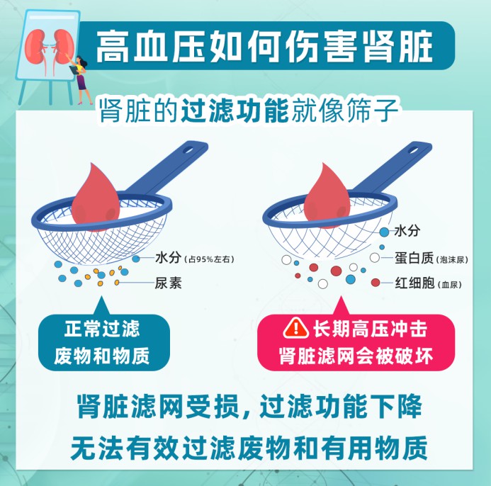 D:\Users\Desktop\诺华\Retainer\25年\3月\【262】查出慢性肾脏病,血压降到14090以内、13080以内差别大吗?\微信图片_20250227181542.png微信图片_20250227181542