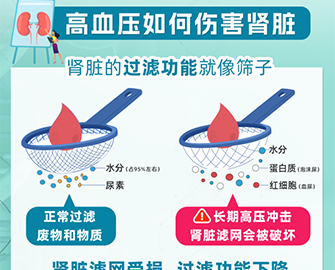 世界肾脏日再谈降压护肾