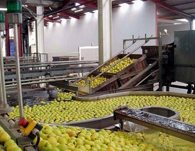 食品医疗 食品医疗