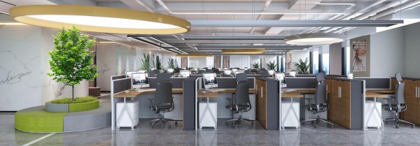 中国人寿财险河北公司