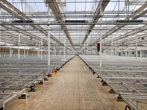 藁城农业高科技园区种苗繁育基地建设项目