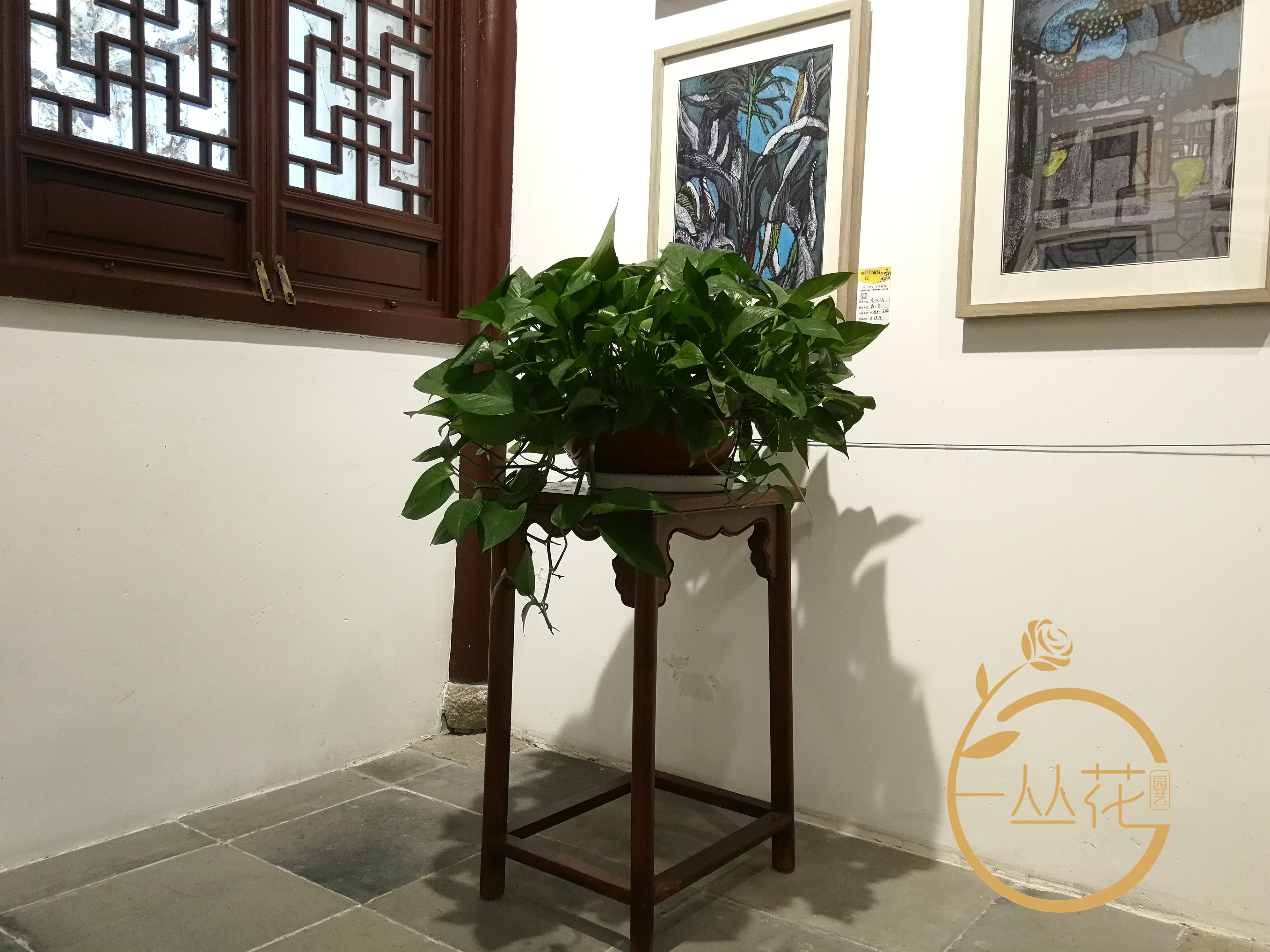 蘇州相城區博物館綠植租擺案例