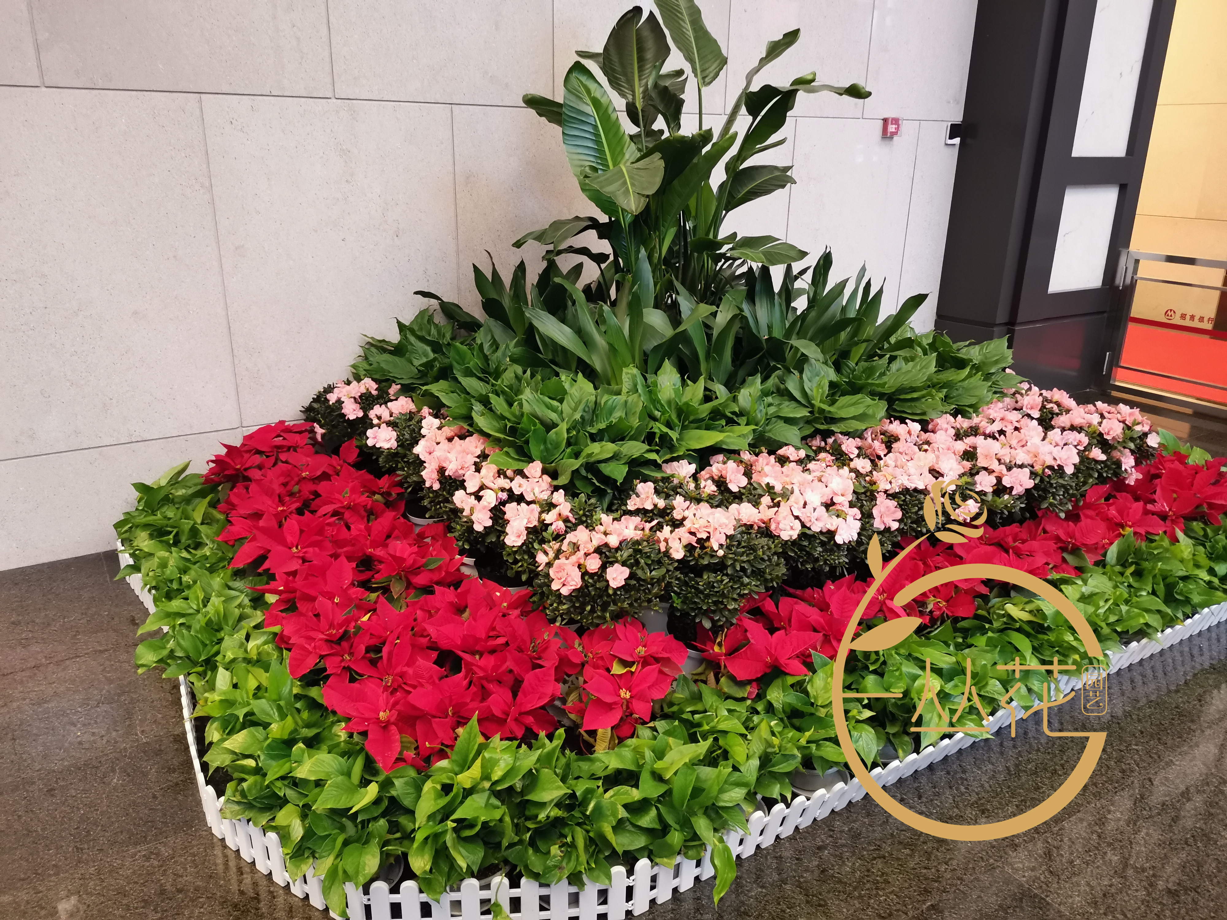 蘇州市銀行綠植租賃