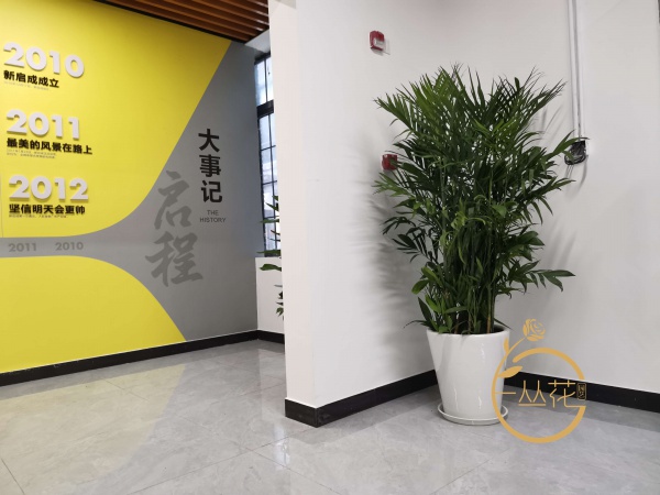 蘇州市木瀆鎮傳媒股份有限公司花卉綠植租賃案例