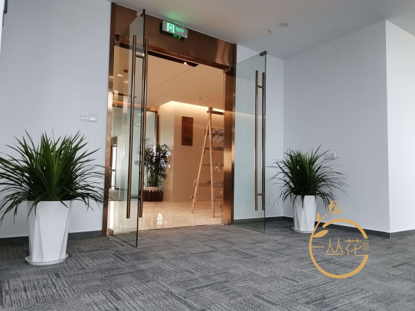 電子系統工程建設有限公司花卉植物搭配有限公司
