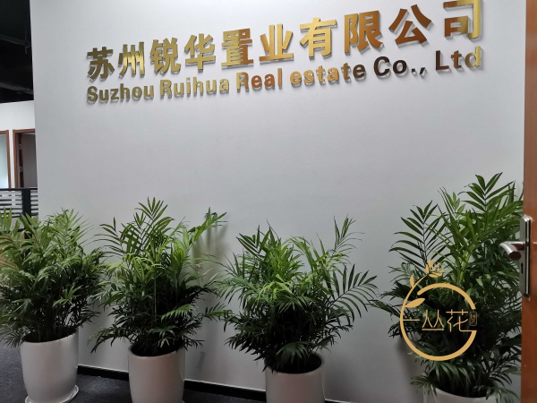 姑蘇區置業公司花卉擺放案例