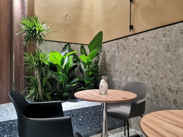 蘇州姑蘇區餐飲店綠植租擺